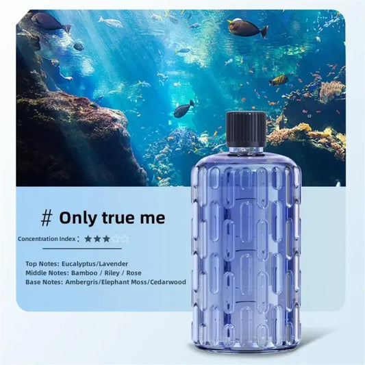 Essential Oil Aroma Diffuser & Humidifier - Perfect for Home, Hotel, and Spa Deodorization